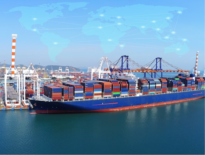 Cành nhánh quế trở thành hàng hóa, không chỉ dùng trong nước mà còn để xuất khẩu.